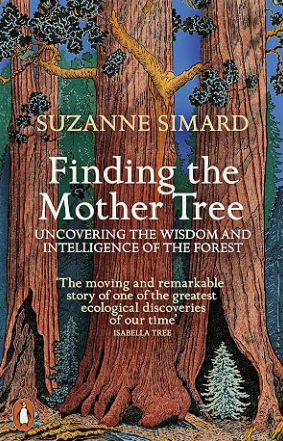 Finding the Mother Tree by Suzanne Simard — book cover