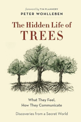 The Hidden Life of Trees by Peter Wohlleben — book cover